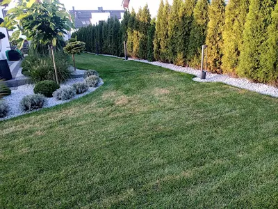 Ogrodnik Trójmiasto -Robert Potrykus